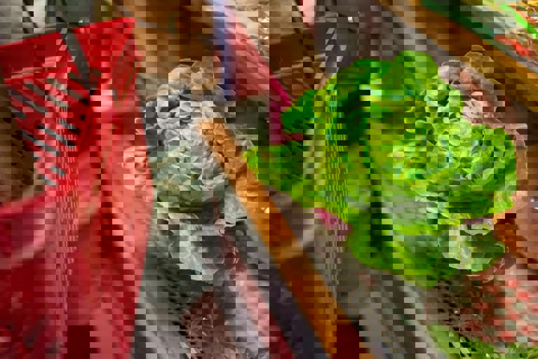 Simple Hacks for Slashing Grocery Bills Without Sacrificing Nutrition